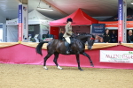 SBM_00866