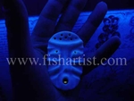 A Night Fishermans Fish God,
