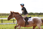 SBM_002092
