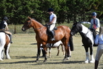 WJ5_4630