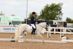 SBM_04037