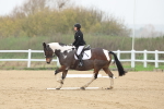 SBM_000645