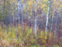 FALLSCAPE -  HALTON COUNTY