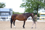 SBM_05703