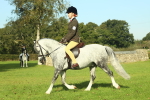 SBM_59889