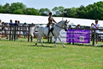 SBM_15369