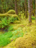 Juneau and Humpbacked Whales-240