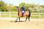 SBM_000769