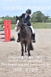 CLASS 6 Springboard 128cm/ 138cm Restricted Handicap portfolio
