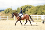 SBM_012011