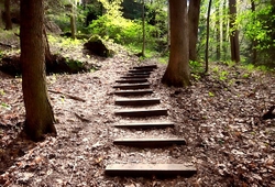 Landscapes, Places, and Things in Nature portfolio