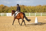 SBM_002688