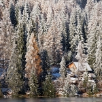 Home on the Lake
