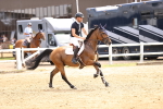 SBM_001652