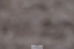 240107A-090455-00018