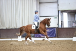 SBM_020026
