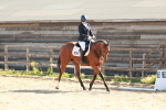 SBM_009805