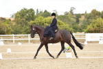 SBM_004913
