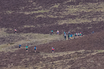 Black Combe-478