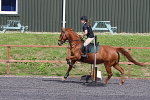 SIAL0444