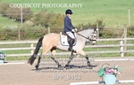 BPP_8453