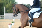 Polo 2 - 13-9-24 portfolio