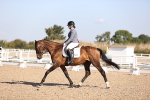 SBM_01847