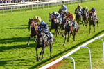 141023-Race 5-Certain Lad-1344