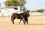 SBM_18317
