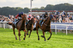 230923-Race 7-Two Brothers-5490