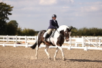 SBM_08043