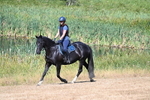 WJ7_8134