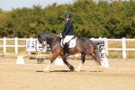 SBM_017766