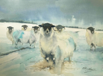 'Winter's Veterans'