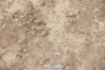 240822X-121912-04446