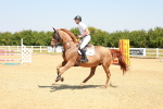 SBM_000689
