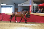 SBM_04098