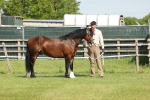 SBM_02045
