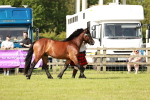 SBM_00781