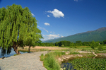 Lake Kerkini, Central Macedonia, Greece