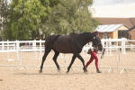 SBM_04918