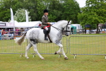 SBM_02615
