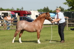 SBM_00651