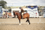 SBM_17871