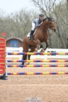 Cls 41 Ponies - Mini Tour portfolio