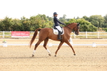 SBM_005078