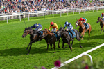 060926-Race 6-Power Fizz-0396