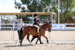 SBM_13035