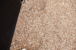 SBM_008247