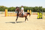 SBM_000334